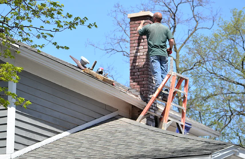 Chimney & Fireplace Inspections Services in Tupelo, MS